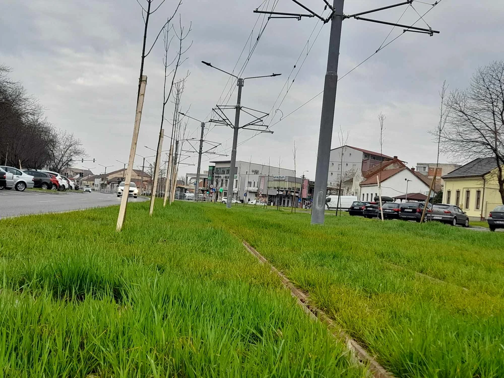 Bulevardul Cetății din Timișoara FOTO Ștefan Both