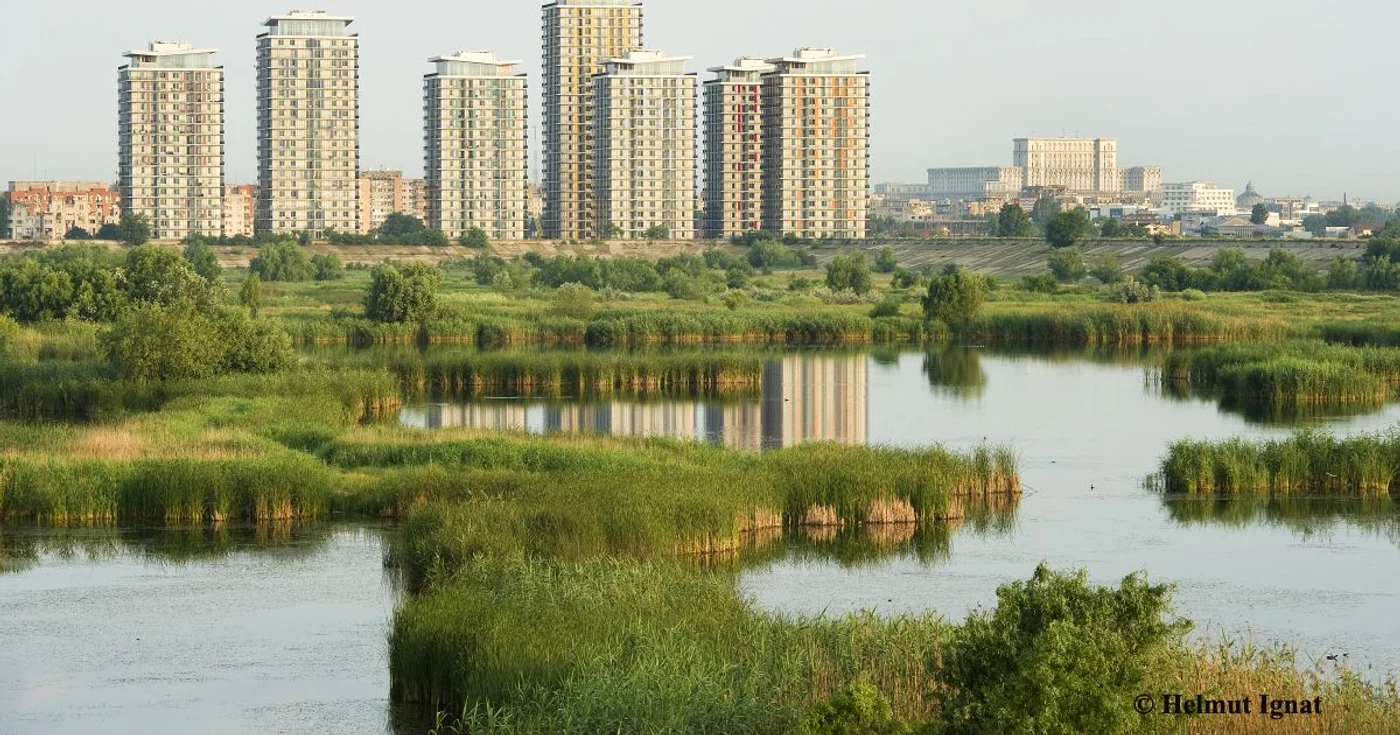 Asociaţia „Salvaţi Dunărea şi Delta“ strânge semnături pentru transformarea bălţii Văcăreşti în primul Parc Natural Urban din România FOTO Helmut Ignat