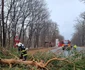 Intervenție la Sibiu din cauza vremii extreme - vântul a smuls copacii din rădăcini Sursă ISU Sibiu