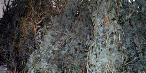 Hoţii s-au pus pe treabă