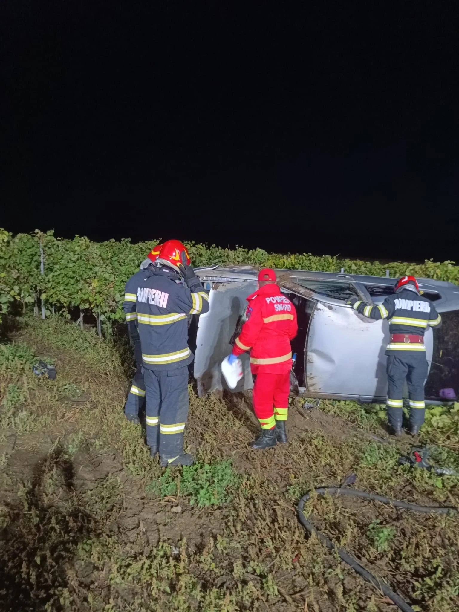 Un șofer vitezoman a ajuns cu mașina într-o plantație de vie. Patru persoane au fost rănite