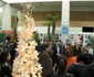 brazi neconventionali 2