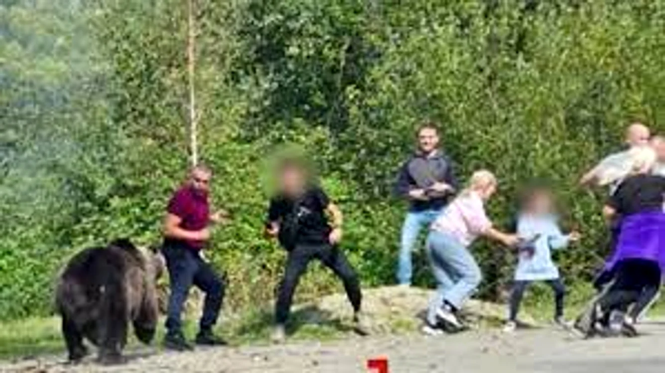 Românii care au vrut să pozeze ursul Foto: captură video TikTok