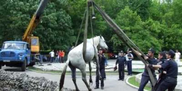 Pompierii au reuşit să-l salveze pe bietul animal foto arhivă