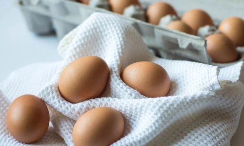 1 67040 original jpg jpeg