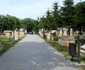 Parcul Arheologic - vestigii antice Cetatea Tomis Sursa Primăria Constanţa