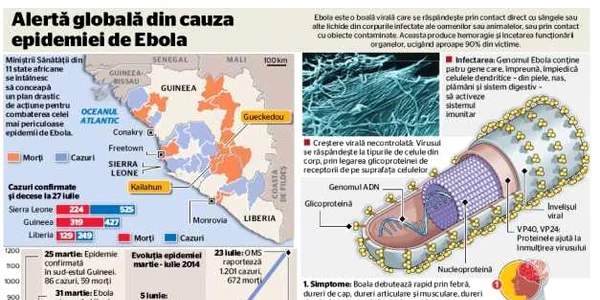 ebola grafic 