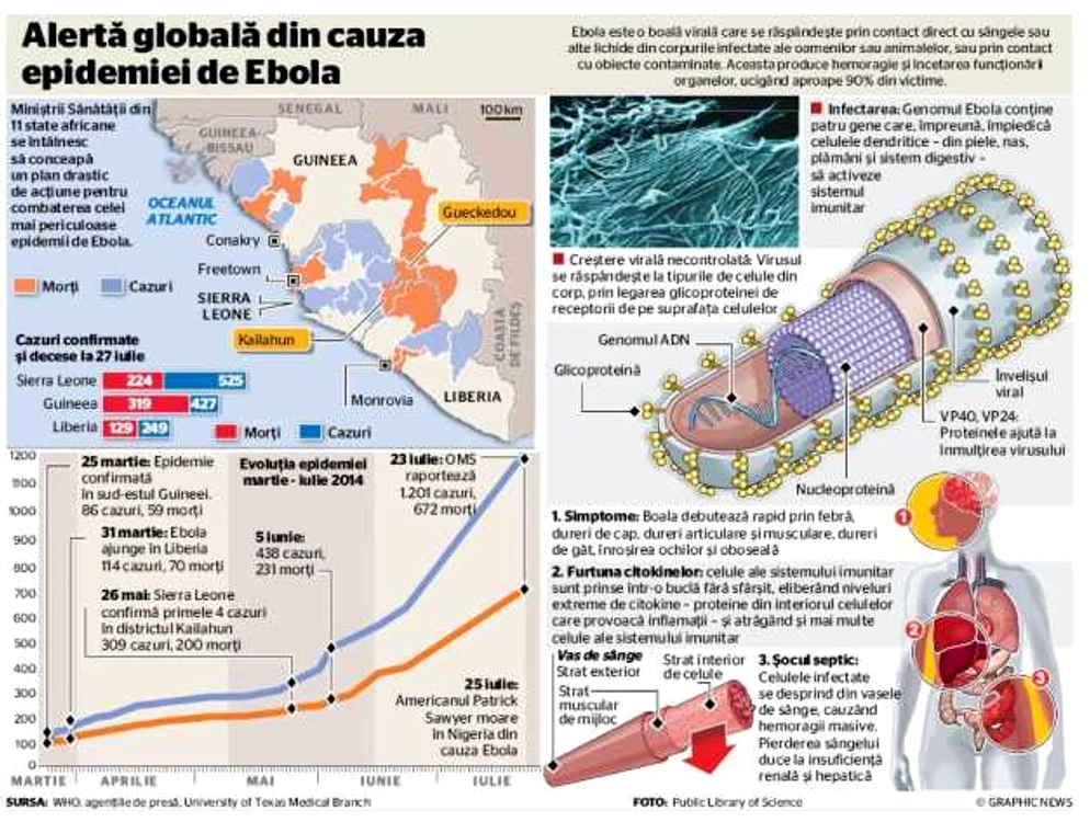 ebola grafic 