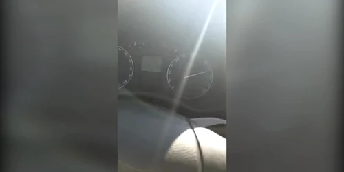 5c56adacdf52022f75523170 jpg