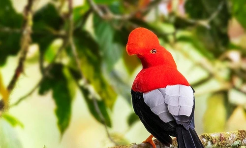 16 102388339 106516887680347 5973796552682869846 n jpg jpeg