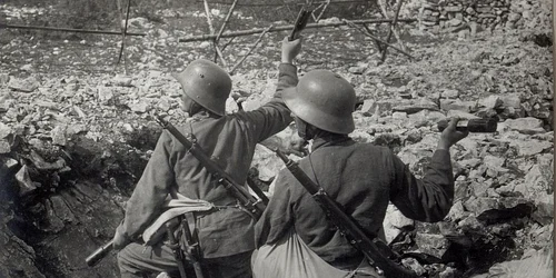 Primul Război Mondial Germania declară război României jpeg