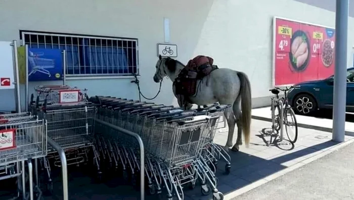 Calul, „parcat” în zona destinată bicicletelor, la supermarket FOTO Facebook