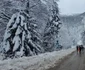 Stațiunea Râușor din Retezat  Foto Daniel Guță ADEVĂRUL (26) jpg