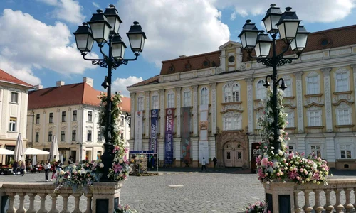 Timișoara, orașul florilor FOTO Ștefan Both