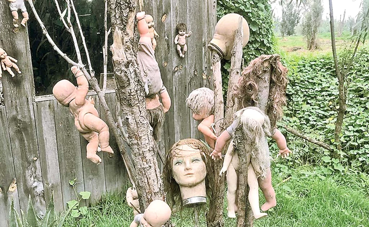 
    Pădurea sinucigaşilor Aokigahara, din Japonia, bântuie spiritele neîmpăcate ale 500 de oameni  