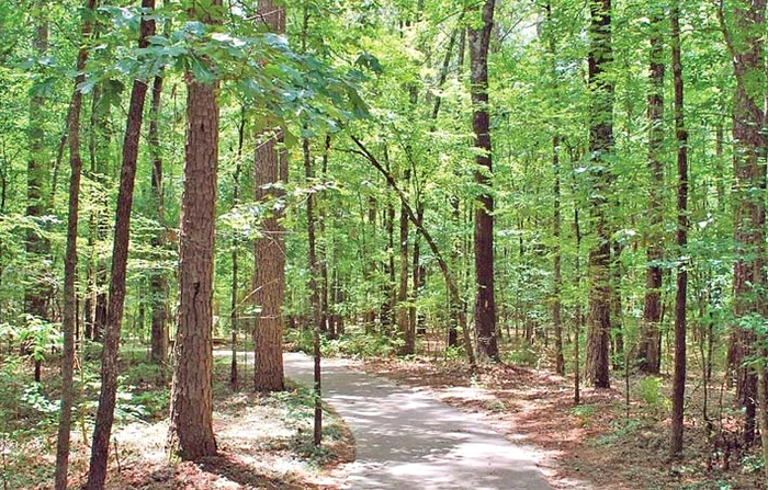 La intrarea în parc turiştii află că pot pleca acasă cu pietrele preţioase găsite