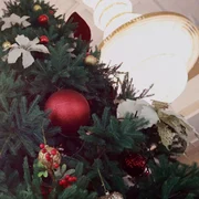 snapsave app 1566267224512368 hd mp4 thumbnail png