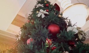 snapsave app 1566267224512368 hd mp4 thumbnail png