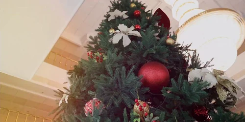 snapsave app 1566267224512368 hd mp4 thumbnail png