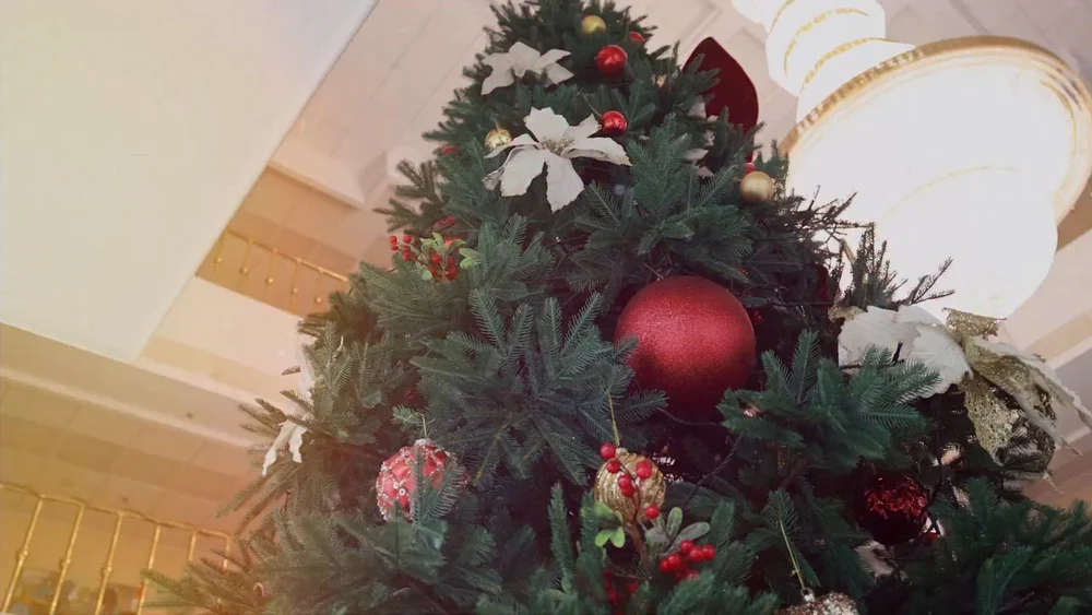 Crăciunul liderilor de la Chișinău. Ce mesaje le-au transmis moldovenilor în această zi specială