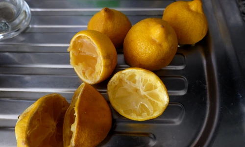 shutterstock 1828509908 jpg