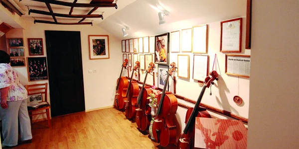 violoncele dodon