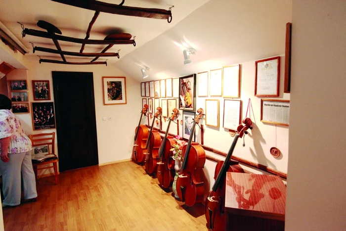 violoncele dodon