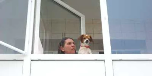 Târgoviste: A căzut pe geam din vina soţului