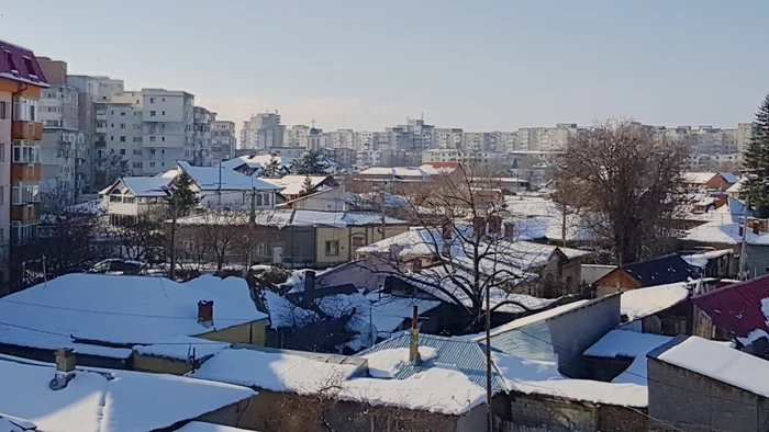 Peste 3.000 de pomi din Buzău vor fi tăiați. FOTO Iulian Bunilă