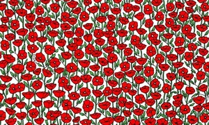 test jpg