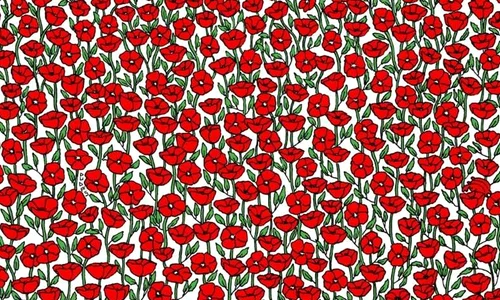 test jpg