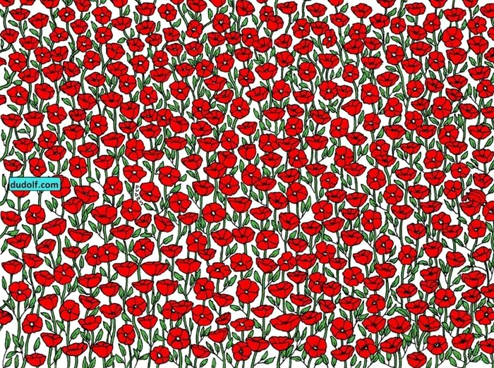 Testul trebuie rezolvat în 15 secunde / foto: dudolf.com