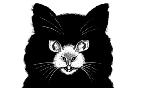 pisica iluzie optica jpg