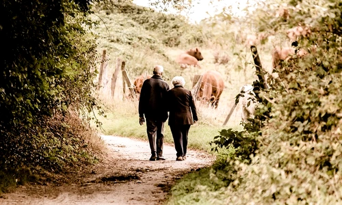 1 83359 original jpg jpeg