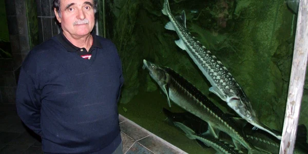 Valeriu  Gheorghe