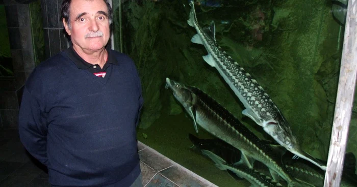 Valeriu Gheorghe