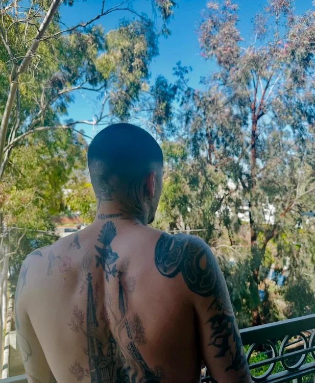 zayn jpg