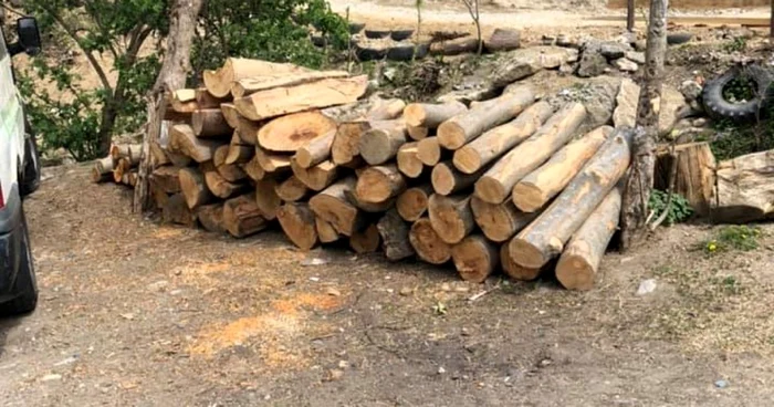 Hoţi de lemne surprinşi la furat de un pădurar şi puşi pe fugă cu focuri de armă în zona Valea lui Stan - Vâlcea Foto Facebook - în imagine o parte din arborii tăiaţi 