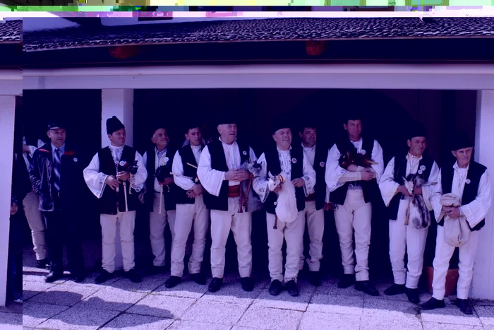 cimpoieri vrancea