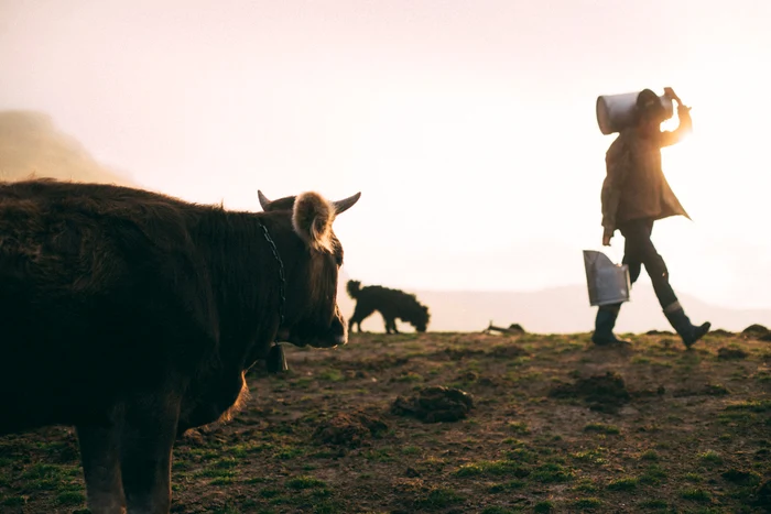 România încă a rămas acasă pentru cei plecați. FOTO: Unsplash