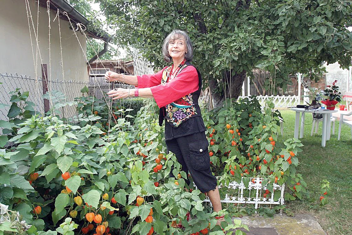 Punctul de atracţie al grădinii sunt florile portocalii, denumite popular “clopoţei”