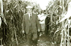 Nicolae Ceauşescu, în vizită la C.A.P. „Tudor Vladimirescu”, în judeţul Brăila (© „Fototeca online a comunismului românesc”, cota: 292/1978)