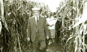Nicolae Ceauşescu, în vizită la C.A.P. „Tudor Vladimirescu”, în judeţul Brăila (© „Fototeca online a comunismului românesc”, cota: 292/1978)