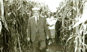 Nicolae Ceauşescu, în vizită la C.A.P. „Tudor Vladimirescu”, în judeţul Brăila (© „Fototeca online a comunismului românesc”, cota: 292/1978)