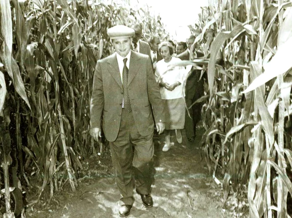 Nicolae Ceauşescu, în vizită la C.A.P. „Tudor Vladimirescu”, în judeţul Brăila (© „Fototeca online a comunismului românesc”, cota: 292/1978)