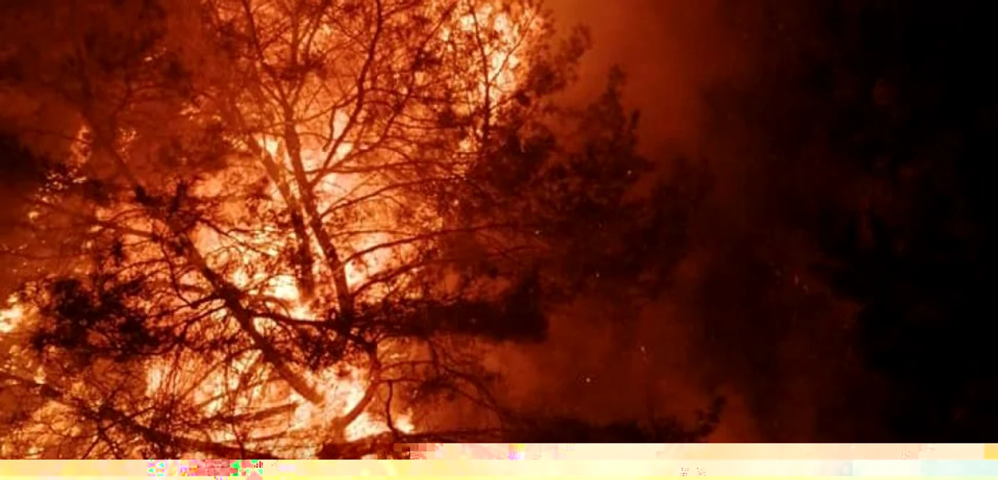 incendii padure isu hunedoara