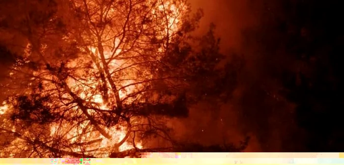 incendii padure isu hunedoara