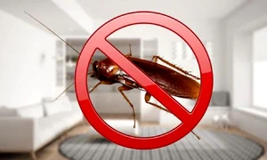 image png