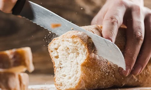 1 shutterstock 1023191101 jpg jpeg