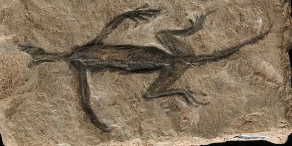 image png